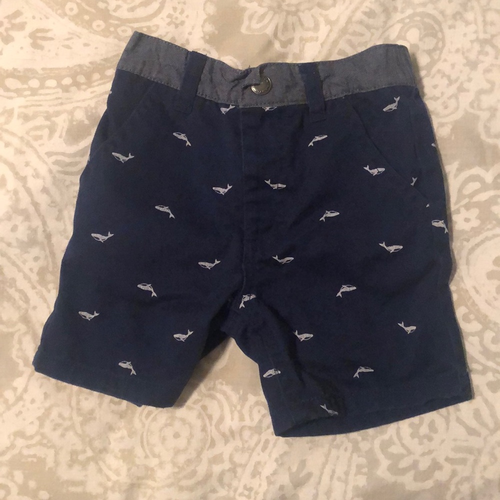 Nautica whale shorts